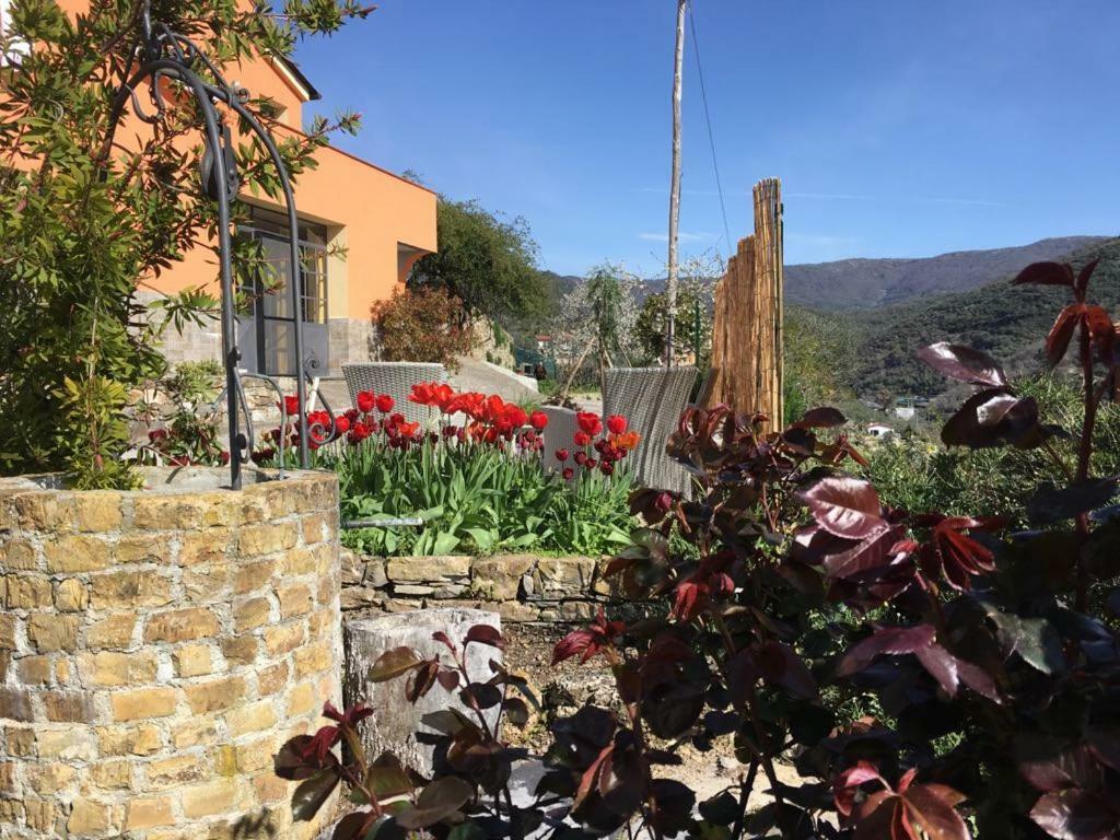 Olivo Al Mare - By Host4U Apartment Dolcedo Luaran gambar